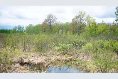 Tbd-20Ac Velvet Street, Sandstone, MN 55072 - Photo 62