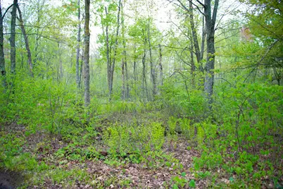 Tbd-20Ac Velvet Street, Sandstone, MN 55072 - Photo 14