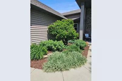 60722 254th Avenue, Mantorville, MN 55955 - Photo 10
