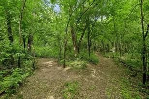 16881 Zirconium St NW, Ramsey, MN 55303 - Photo 32