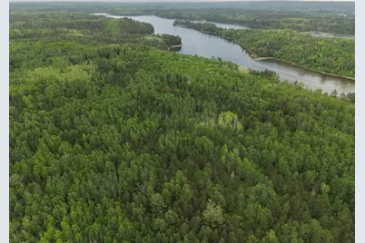 Tbd 290th Street, Park Rapids, MN 56470 - Photo 12