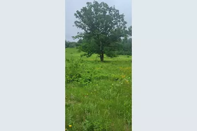 11116 N Blackberry Road, Trego, WI 54888 - Photo 8
