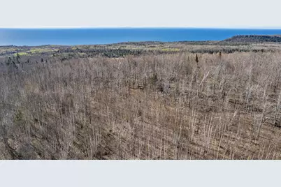 Tbd Mountain Home Tr, Little Marais, MN 55614 - Photo 10