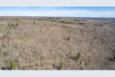 Tbd Mountain Home Tr, Little Marais, MN 55614 - Photo 4