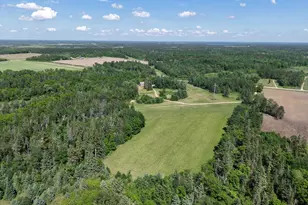 13988 590 Ave, Menahga, MN 56464 - Photo 10
