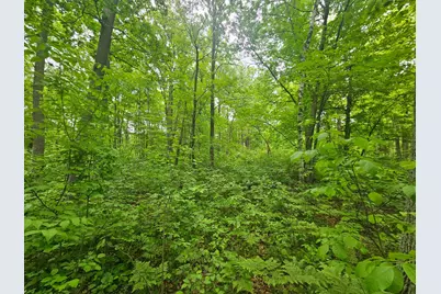 Tbd Broadway St., Garrison, MN 56450 - Photo 6