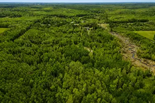 45624 Co Rd 172, Deer River, MN 56636 - Photo 6