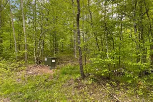 Lot 8 Hustvet, Minong, WI 54888 - Photo 1