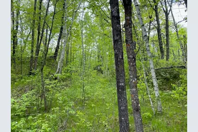 Lot 8 Hustvet, Minong, WI 54888 - Photo 8