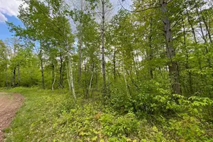 Lot 9 Hustvet, Minong, WI 54888 - Photo 1