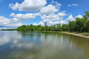 20885 Leona Beach Rd, Rochert, MN 56578 - Photo 8