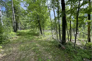13384 Sorenson Lake Rd, Merrifield, MN 56465 - Photo 26