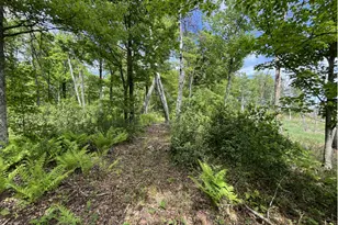 13384 Sorenson Lake Rd, Merrifield, MN 56465 - Photo 32