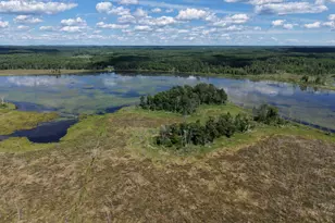 13384 Sorenson Lake Rd, Merrifield, MN 56465 - Photo 48