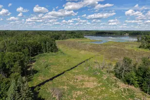 13384 Sorenson Lake Rd, Merrifield, MN 56465 - Photo 46