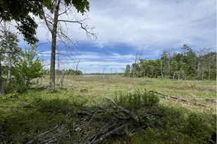 13384 Sorenson Lake Rd, Merrifield, MN 56465 - Photo 42