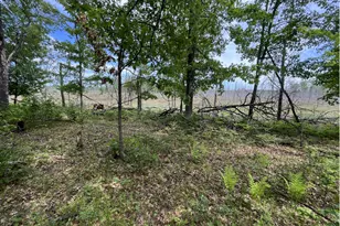 13384 Sorenson Lake Rd, Merrifield, MN 56465 - Photo 34