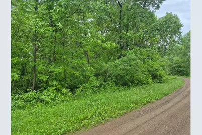 Tbd Willow Dr, Garrison, MN 56450 - Photo 6
