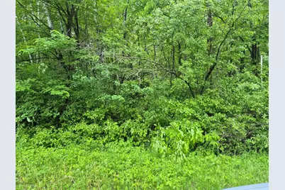 Tbd Willow Dr, Garrison, MN 56450 - Photo 2