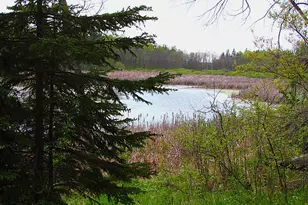 26301 US-71, Park Rapids, MN 56470 - Photo 18