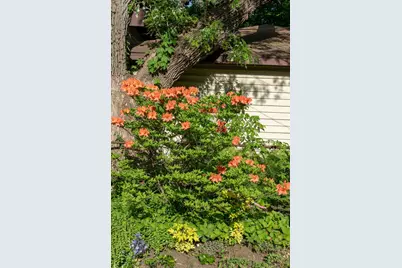 3015 E Minnehaha Parkway, Minneapolis, MN 55417 - Photo 50
