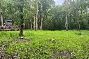 Tbd 20th Street SE, Santiago Township, MN 55319 - Photo 10