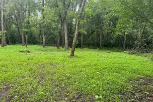 Tbd 20th Street SE, Santiago Township, MN 55319 - Photo 8