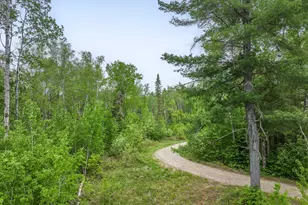 1152 Fernberg Rd, Ely, MN 55731 - Photo 16