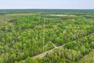 1152 Fernberg Rd, Ely, MN 55731 - Photo 4