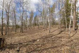 28502 County 37, Laporte, MN 56461 - Photo 34