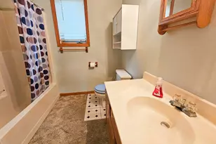 502 Chicago Ave SW, Red Lake Falls, MN 56750 - Photo 18