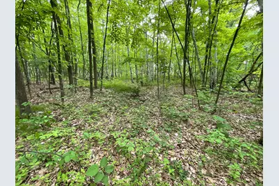25945 Pine View Beach Trail, Brook Park, MN 55007 - Photo 4