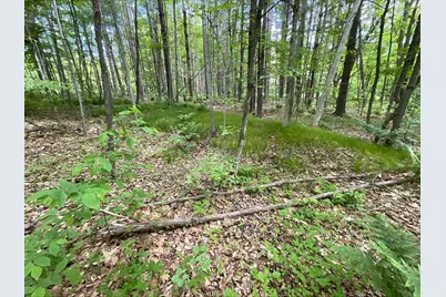 25945 Pine View Beach Trail, Brook Park, MN 55007 - Photo 6