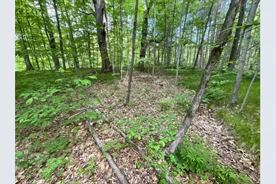 25945 Pine View Beach Trail, Brook Park, MN 55007 - Photo 10