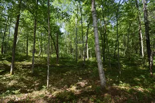 29093 Deerpath Pass, Danbury, WI 54830 - Photo 50