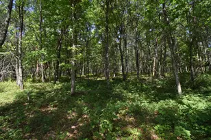 29093 Deerpath Pass, Danbury, WI 54830 - Photo 62