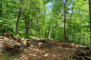 7298 Sweetbrier Trail NW, Walker, MN 56433 - Photo 30