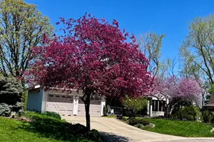2024 Telemark Ct NW, Rochester, MN 55901 - Photo 4