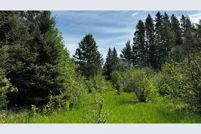 Tbd-B Hwy 169, Virginia, MN 55792 - Photo 8