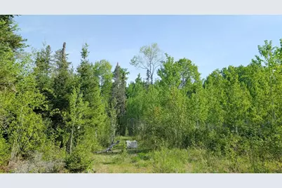 7573 Thumbnail Drive, Embarrass, MN 55732 - Photo 4