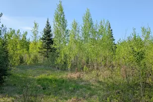 7573 Thumbnail Dr, Embarrass, MN 55732 - Photo 1