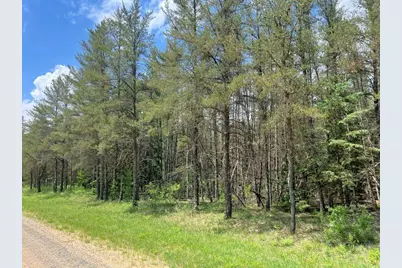 Tbd County 109, Menahga, MN 56464 - Photo 2