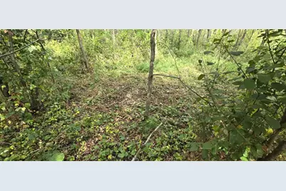 Parcel Tbd 250th Street, Mahnomen, MN 56557 - Photo 20
