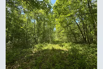 Tbd Sandhill Crane Ln, Pine City, MN 55063 - Photo 24