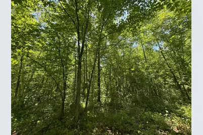 Tbd Sandhill Crane Ln, Pine City, MN 55063 - Photo 26