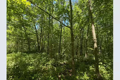 Tbd Sandhill Crane Ln, Pine City, MN 55063 - Photo 8