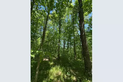 Tbd Sandhill Crane Ln, Pine City, MN 55063 - Photo 4