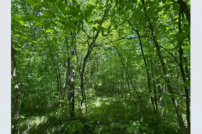 Tbd Sandhill Crane Ln, Pine City, MN 55063 - Photo 18