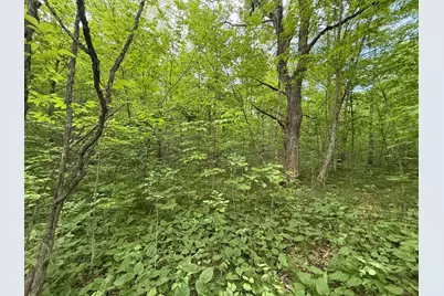 Tbd Sandhill Crane Ln, Pine City, MN 55063 - Photo 12
