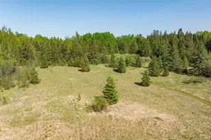 39186 State Hwy 65, Nashwauk, MN 55769 - Photo 12